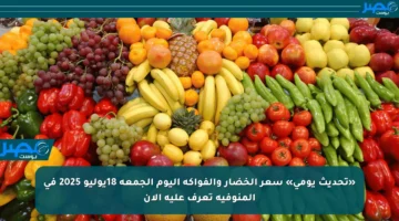 «تحديث يومي» سعر الخضار والفواكه اليوم الجمعة 18يوليو 2025 فى المنوفية تعرف عليه الآن